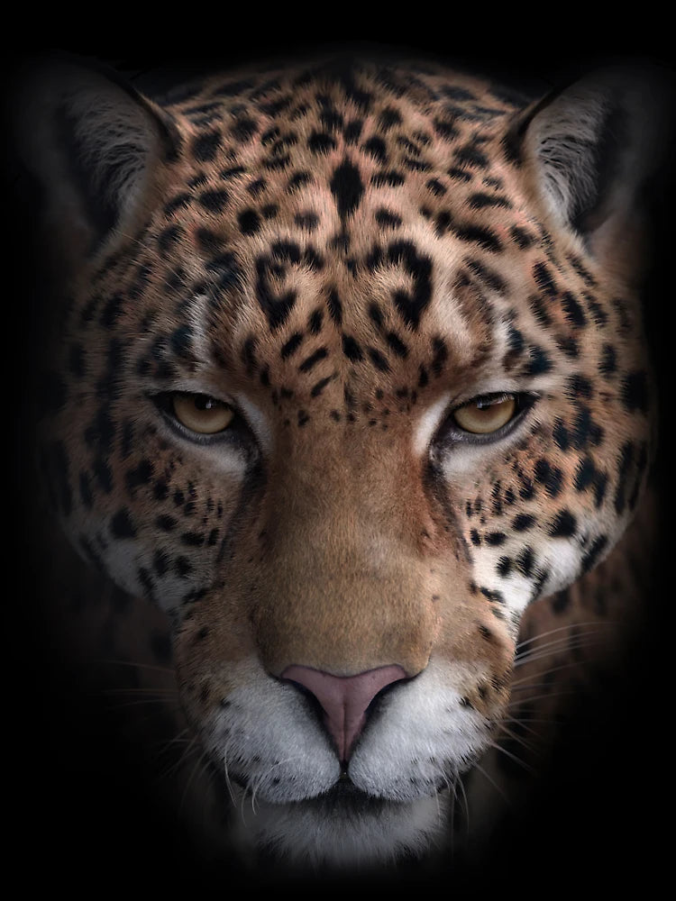 3D Jaguar Head