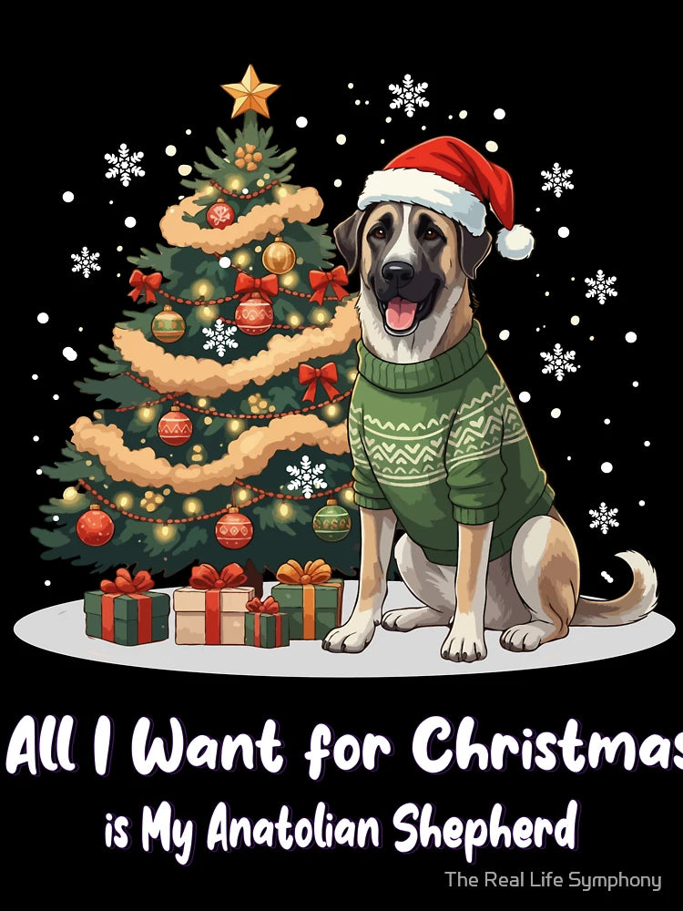 All I Want for Christmas Is My Anatolian Shepherd – Holiday Dog
