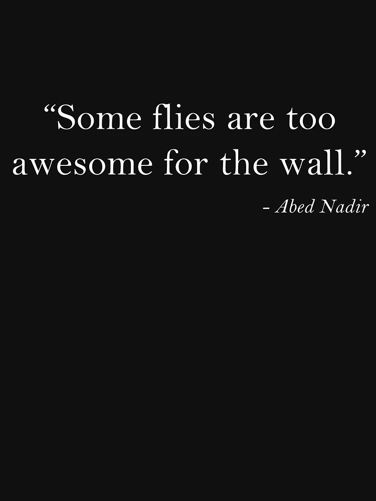 Abed Nadir Quote - Flies