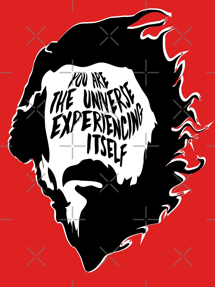 Alan Watts You Are the Universe Experiencing Itself