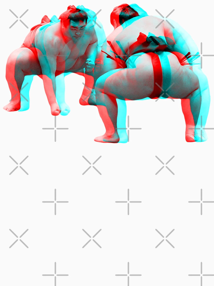 3D Sumo Wrestlers