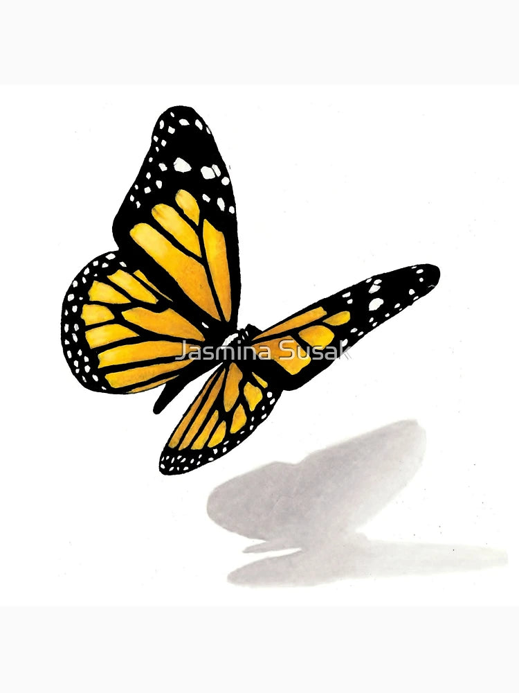 3D Butterfly - colored pencil drawing