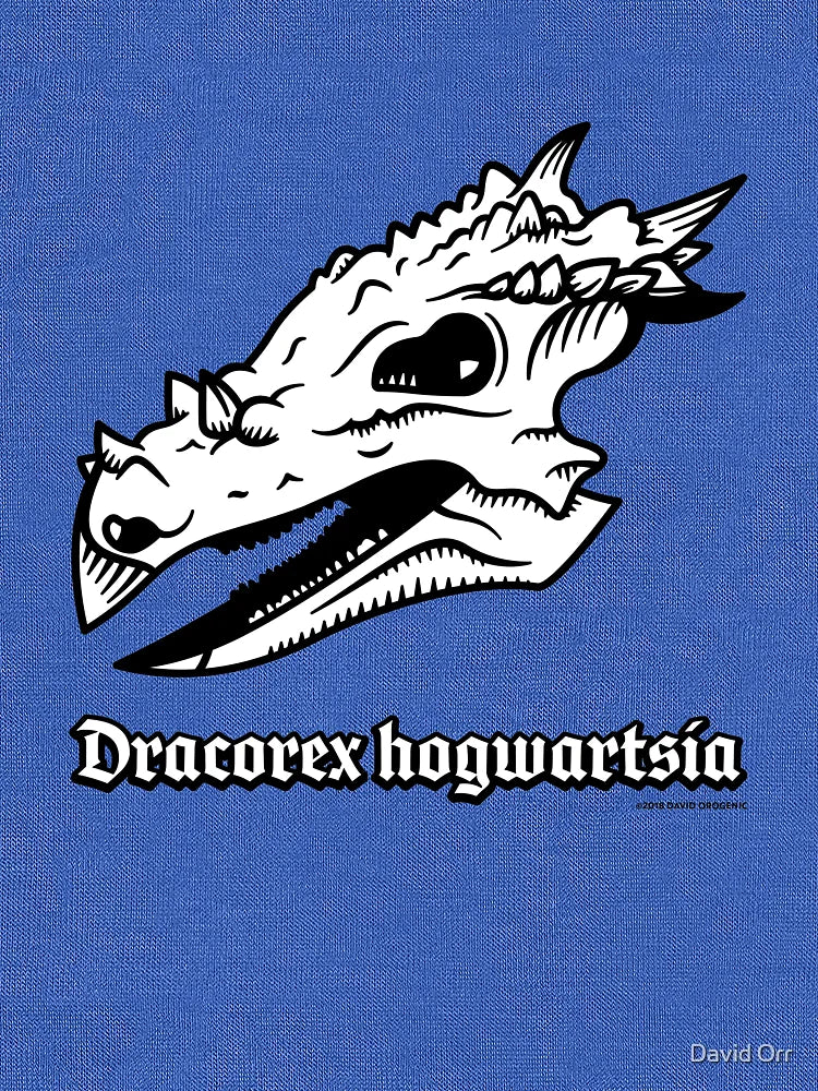 Dracorex hogwartsia skull!