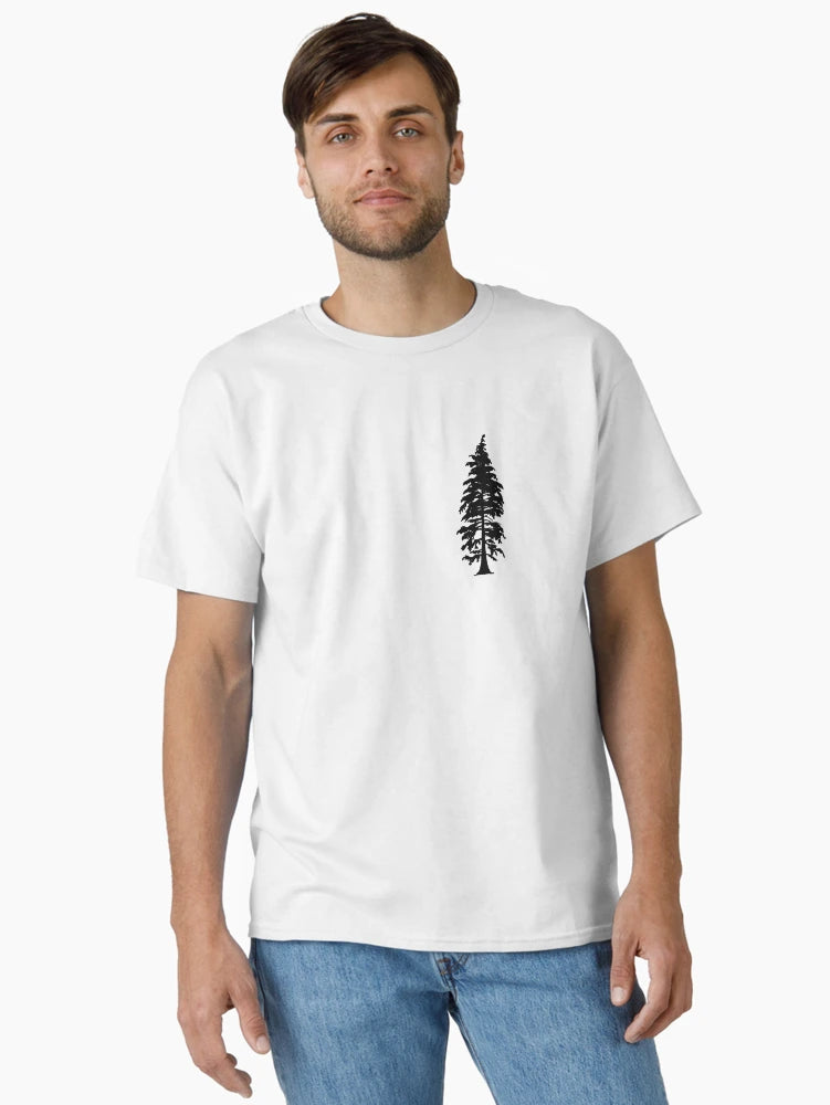 Evergreen Tree