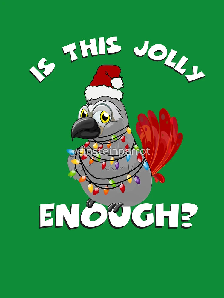 African Grey Parrot Jolly Santa Christmas Lights