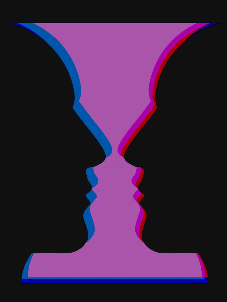 3d Rubin Vase Illusion