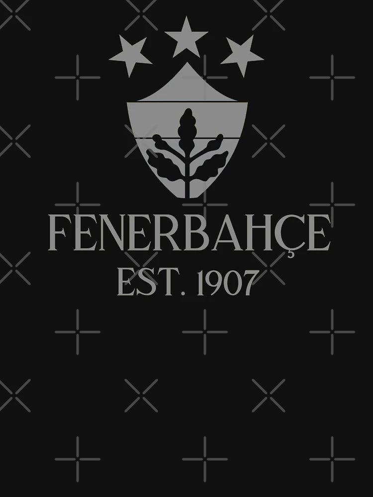 Fenerbahçe Alt Grey 2
