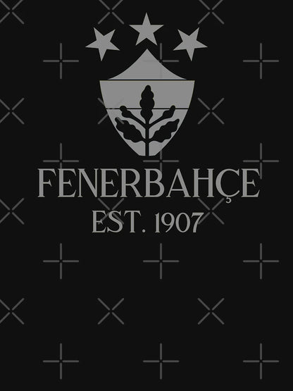 Fenerbahçe Alt Grey 2