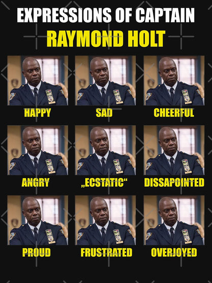 Expressions of Raymond Holt - Brooklyn Nine Nine