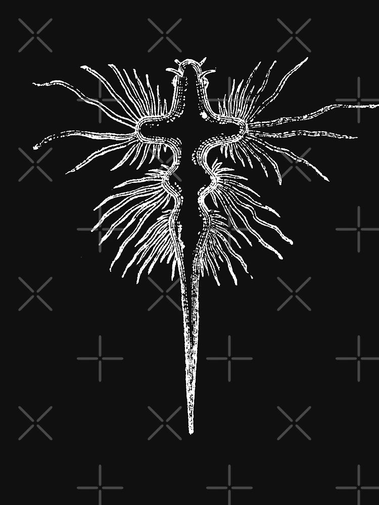 NudiBranch Sketch 1 (SeaBunny)