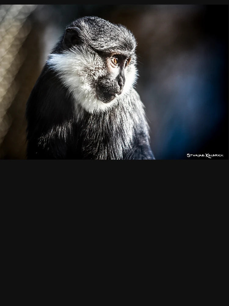 Fake Wildlife