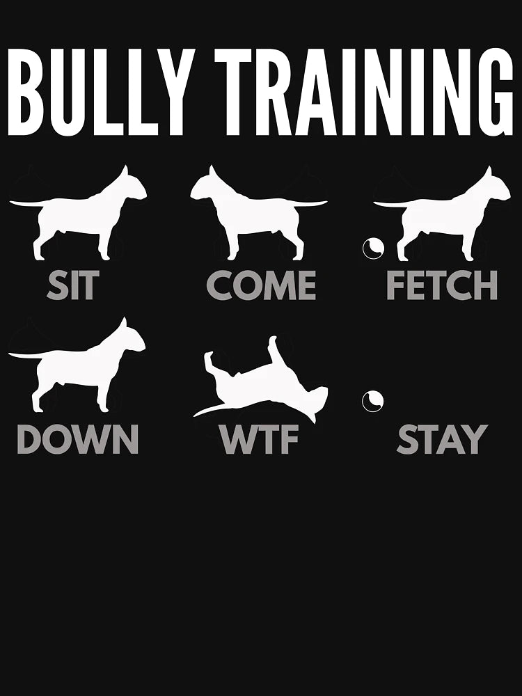 English Bull Terrier Bully Training