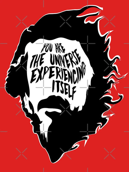 Alan Watts You Are the Universe Experiencing Itself