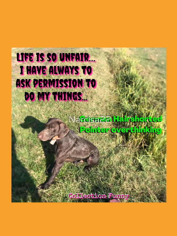 7. Life is so unfair - German Pointer overthinking – Funny