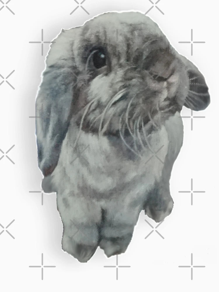 3D mini lop bunny