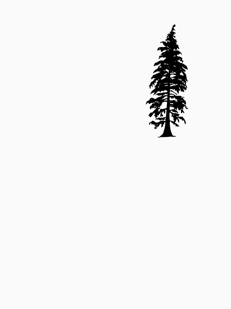 Evergreen Tree