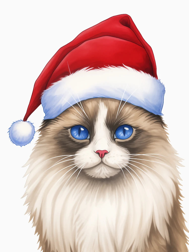 A Festive blue-eyed Ragdoll Cat