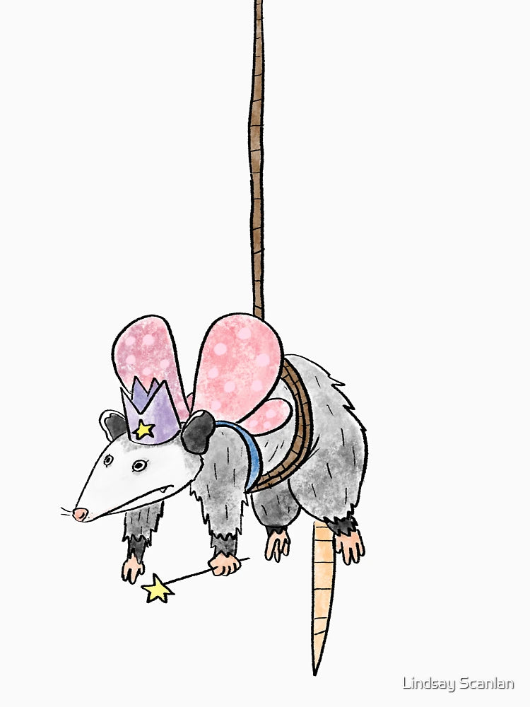 Fairy Godpossum