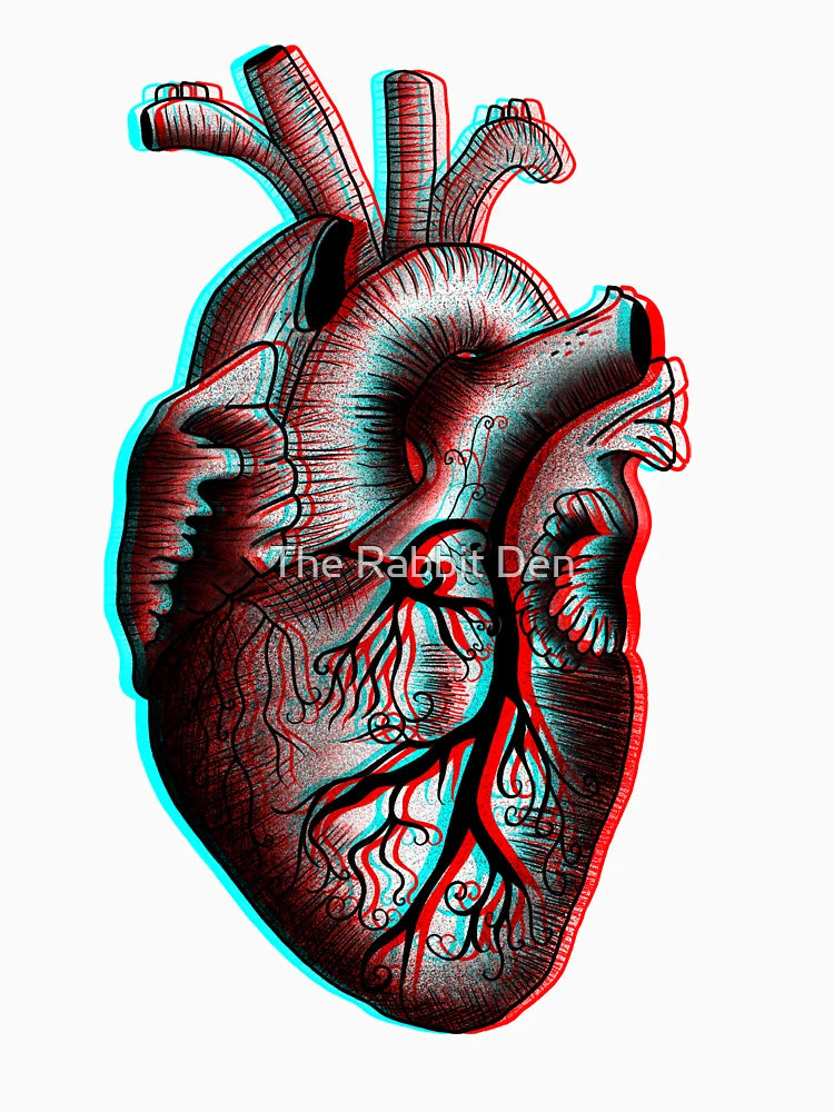 3D Heart