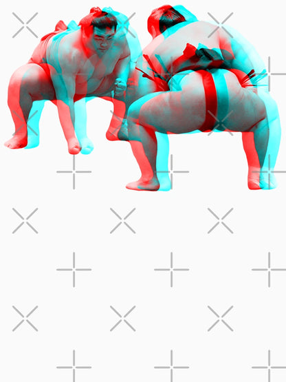 3D Sumo Wrestlers