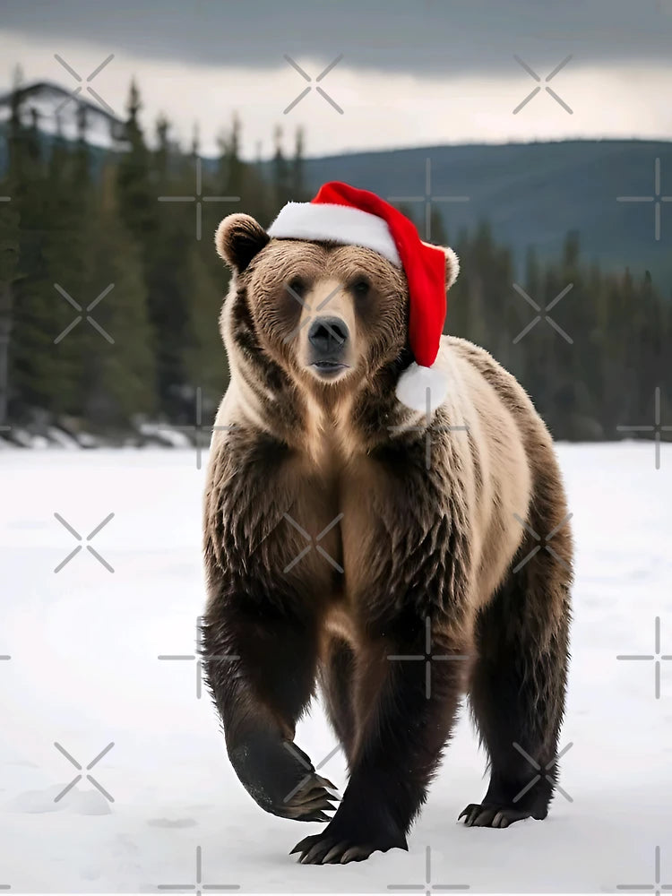 Grizzly bear with santa hat