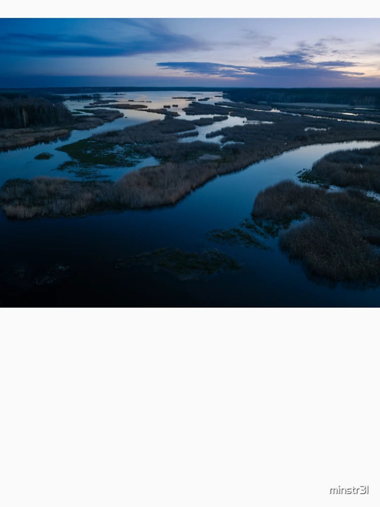 Aerial View of Marshland at Dusk