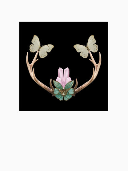 Luna Moth
