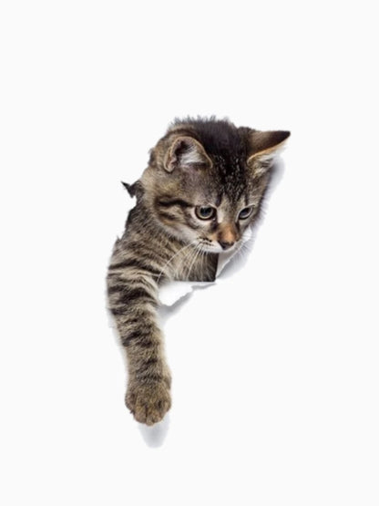 3d cat print t-shirt