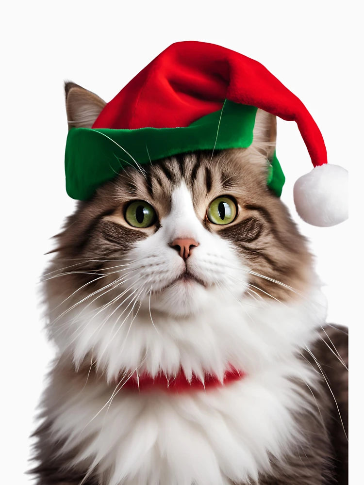 A cat wearing a Christmas costume