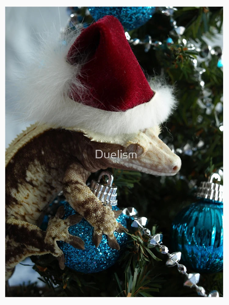 Eclair Christmas Crested Gecko Santa Hat Reptile Lizards In Hats Holiday Crestie Christmas Tree Ornaments Xmas