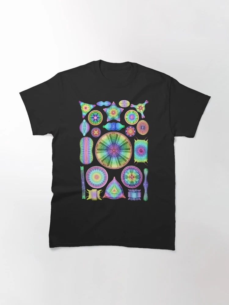 Ernst Haeckel Rainbow Diatoms on Black