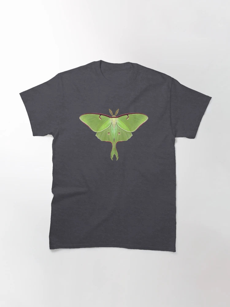 Luna Moth Painting by Mary Capaldi