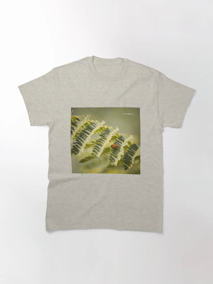 A very long way to the top