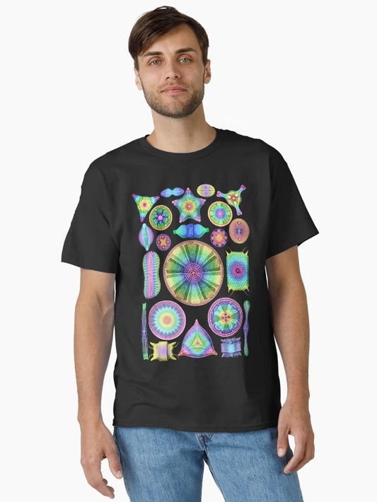 Ernst Haeckel Rainbow Diatoms on Black