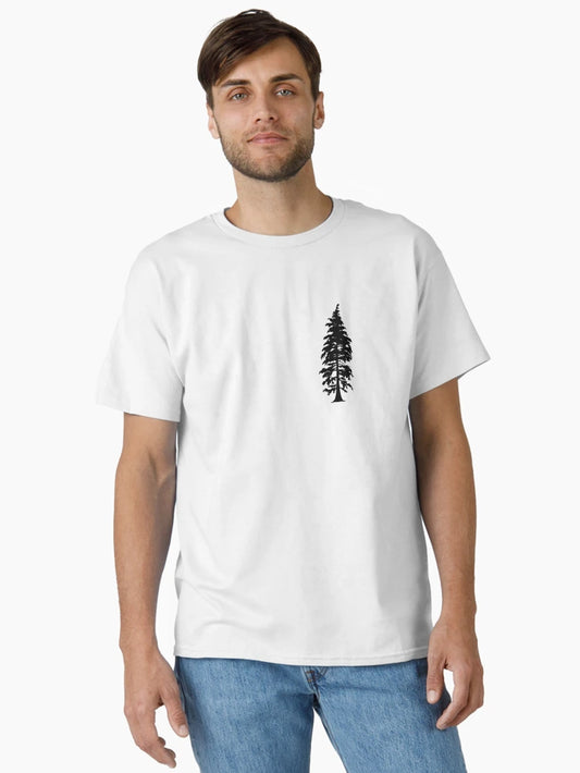 Evergreen Tree