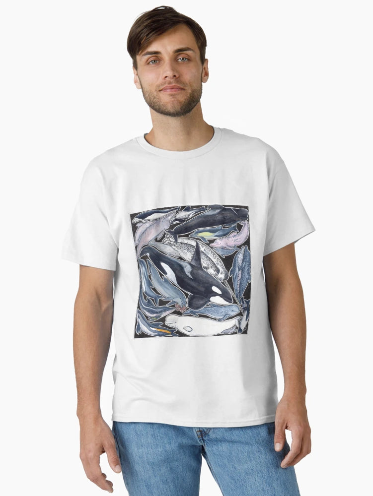 Dolphins, orcas, belugas, narwhals, and cie