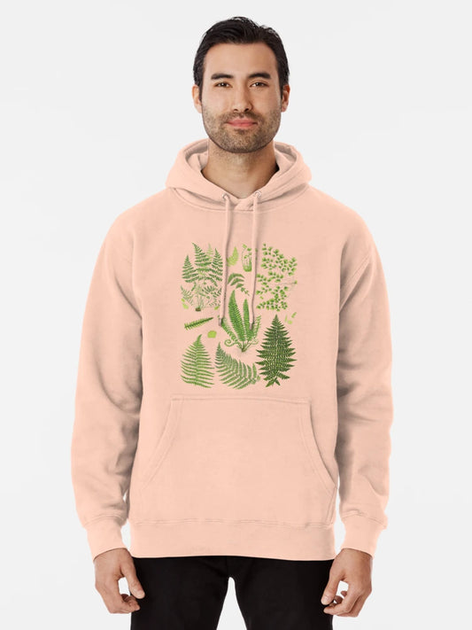 Fern Chart study