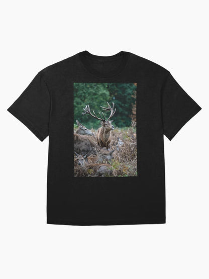 Dominant Stag, Bushy Park