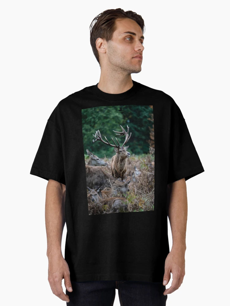 Dominant Stag, Bushy Park