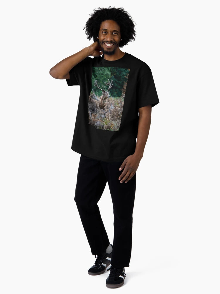 Dominant Stag, Bushy Park