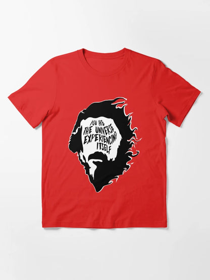 Alan Watts You Are the Universe Experiencing Itself