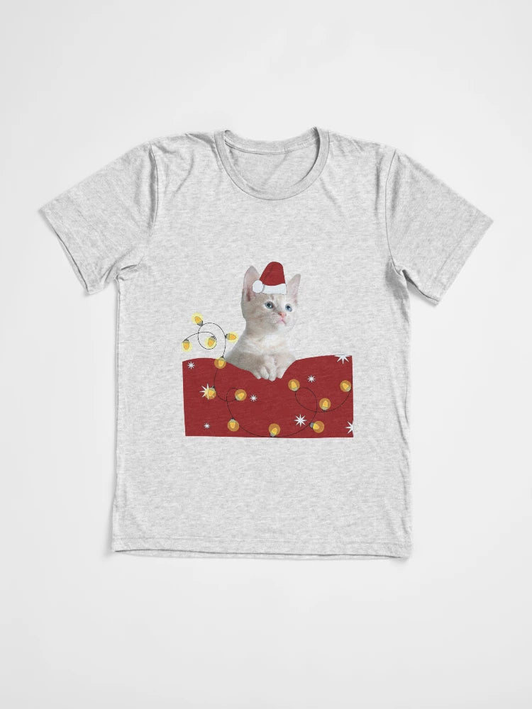 A cat Christmas